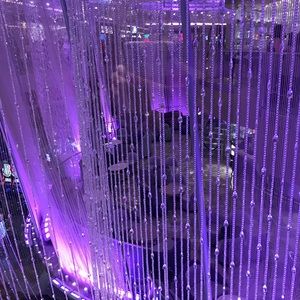 Meet your Posher, Jacqueline